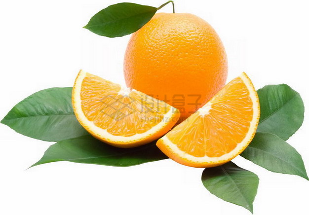 带叶子切开的橙子永兴冰糖橙png图片素材 生活素材-第1张