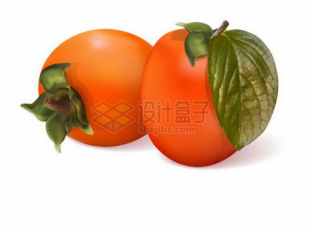 两颗红色柿子美味水果png图片免抠矢量素材 生活素材-第1张