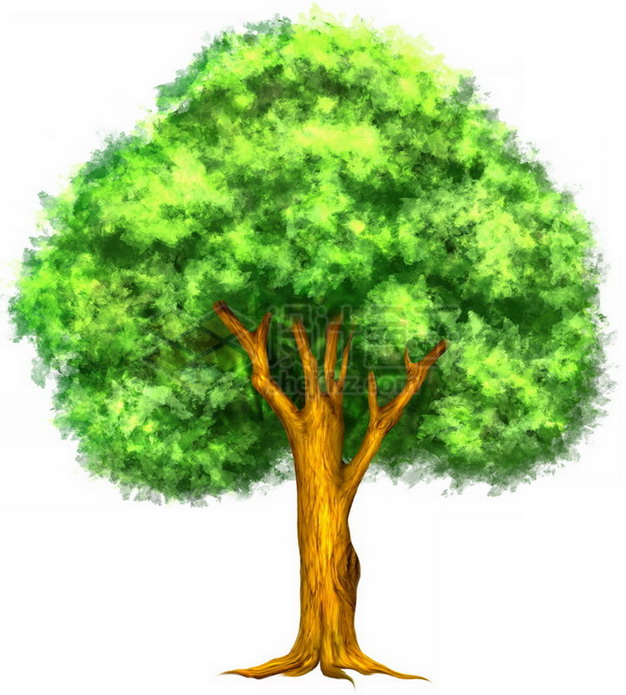 水彩画大树简单图片