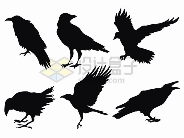 6款黑色的乌鸦动物剪影png图片素材 生物自然-第1张