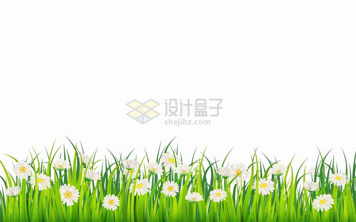 绿油油的青草地和盛开的雏菊白色花朵png图片免抠eps矢量素材 生物自然-第1张