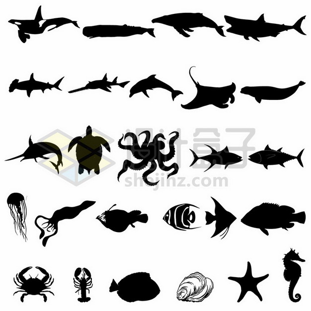虎鲸座头鲸大白鲨海龟章鱼水母等海洋鱼类生物剪影png图片素材 生物自然-第1张