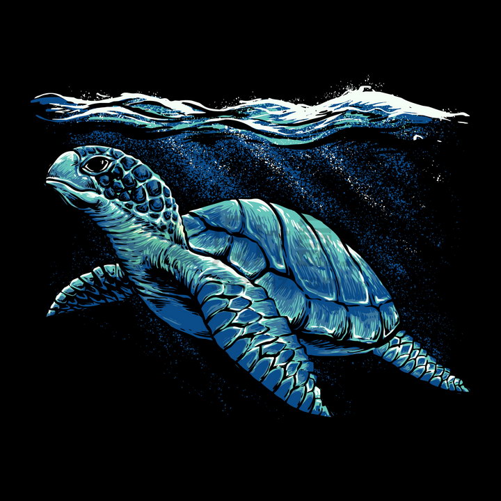 海底世界墙绘海龟图片