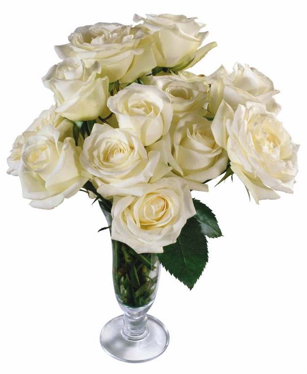 花瓶中的白玫瑰花鲜花977431png图片素材