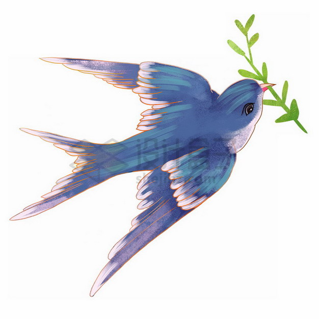 衔着青草的燕子彩绘插画png免抠图片素材 生物自然-第1张