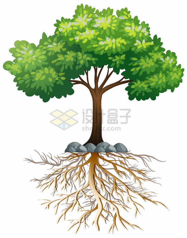 绿色大树和错综的树根png图片免抠eps矢量素材