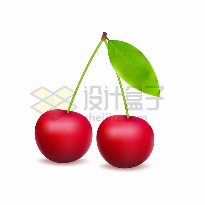 成熟了的两颗樱桃车厘子美味水果png图片免抠矢量素材