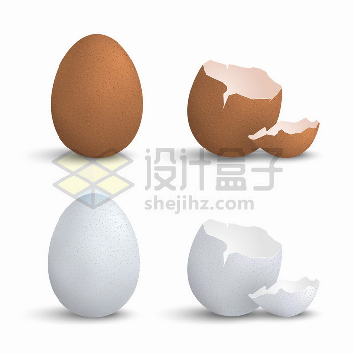 打碎的鸡蛋壳和白色鸡蛋png图片免抠矢量素材 生活素材-第1张