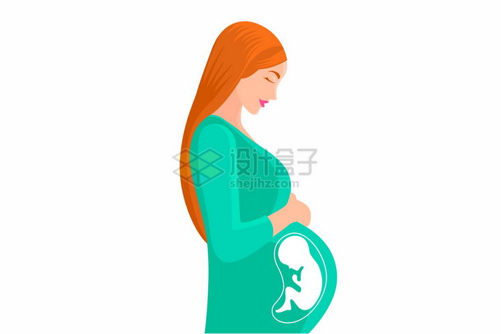 怀孕的孕妇侧面图腹中胎儿示意图png图片免抠矢量素材 人物素材-第1张