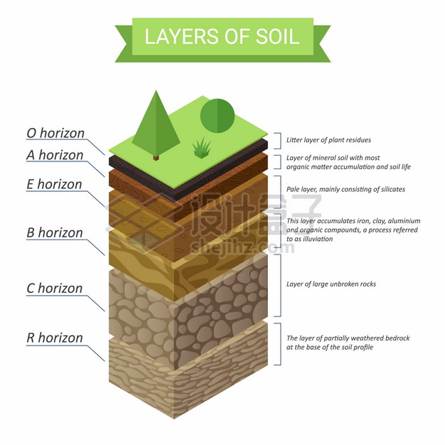 土壤沉积物分层示意图图片