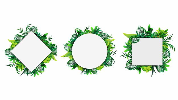 三种形状的热带绿叶树叶装饰的文本框标题框297675png图片素材 边框纹理-第1张