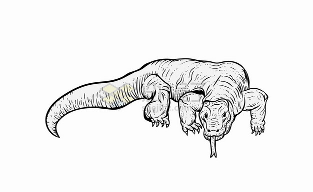 澳洲巨蜥简笔画图片