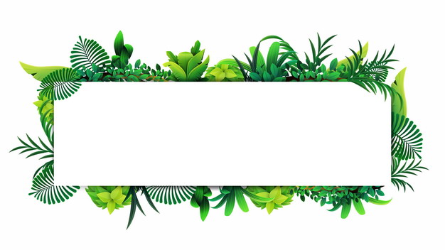 热带绿叶树叶装饰的长方形文本框标题框248421png图片素材 边框纹理-第1张