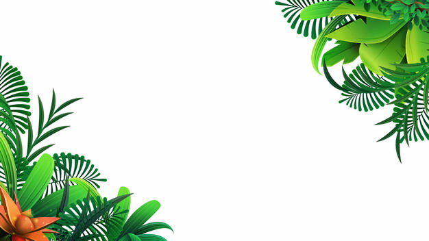 热带绿叶树叶装饰978065png图片素材 边框纹理-第1张