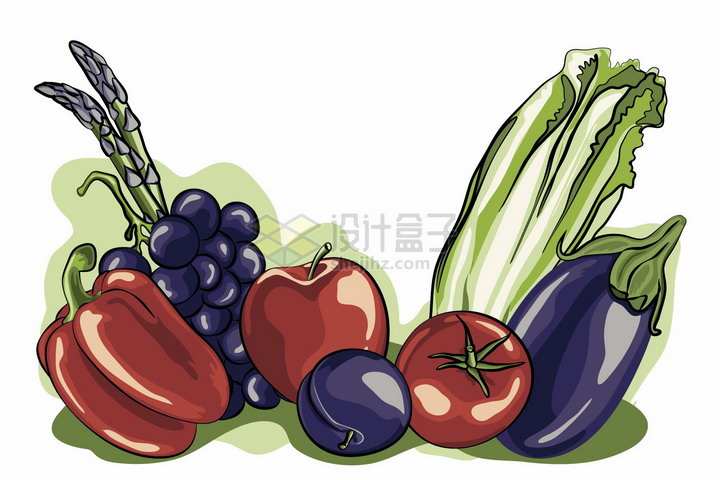 灯笼椒蕨菜西红柿生菜茄子美味蔬菜彩绘插画png图片免抠矢量素材