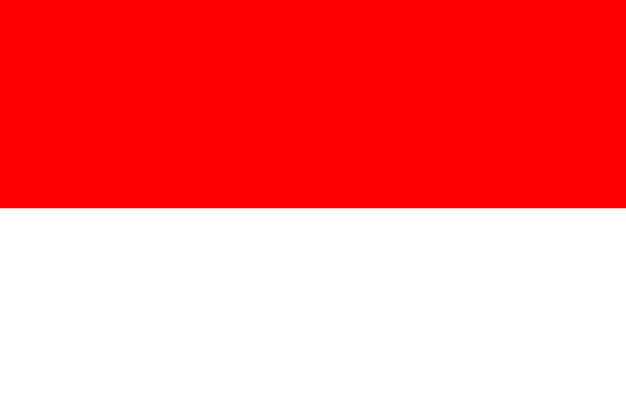 标准版印度尼西亚国旗图片素材 科学地理-第1张