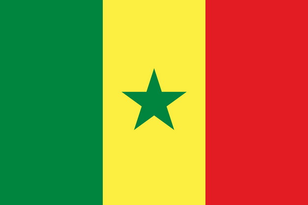 标准版塞内加尔国旗图片素材 科学地理-第1张