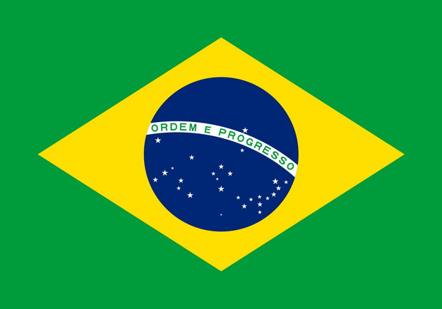 巴西国旗画法图片