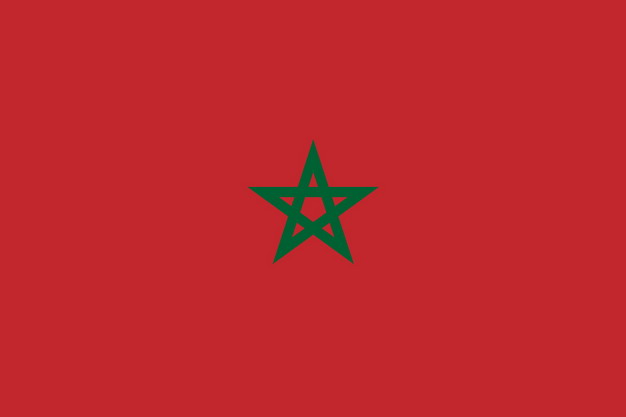 标准版摩洛哥国旗图片素材 科学地理-第1张