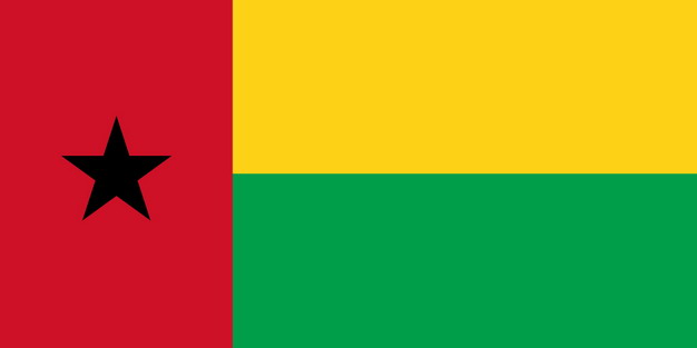 标准版几内亚比绍国旗图片素材 科学地理-第1张