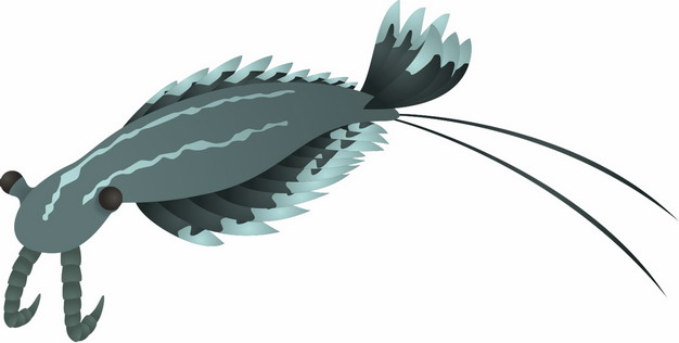 奇虾远古生物手绘插画506477png免抠图片素材 生物自然-第1张