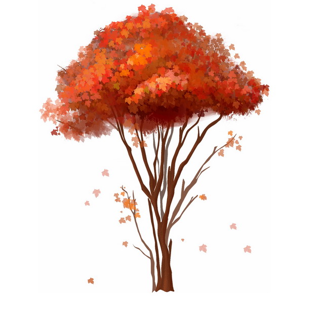 红树插画图片