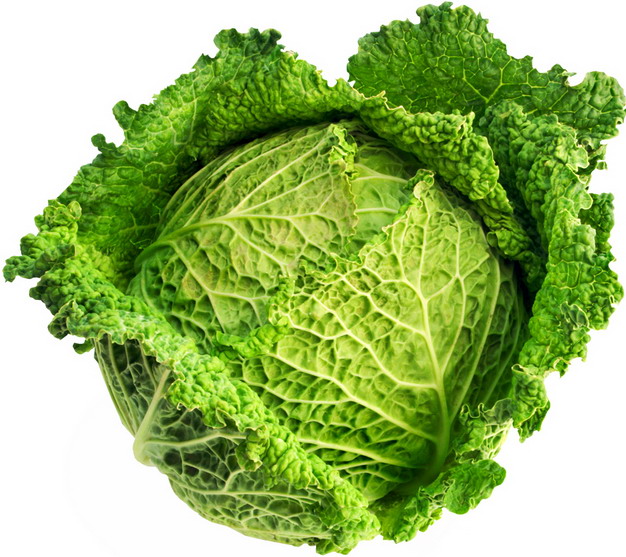 甘蓝菜美味蔬菜100459png图片素材 生活素材-第1张