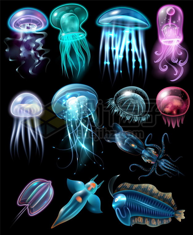 12款发光的水母乌贼冰海小精灵等漂亮的发光海鱼987161png矢量图片素材 生物自然-第1张