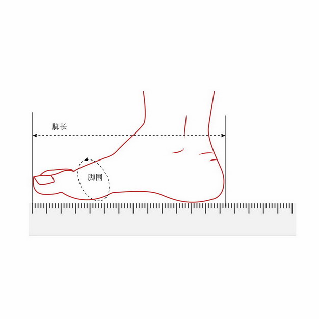 脚长脚围测量方法鞋码对照表979530图片素材 电商元素-第1张