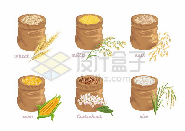 6款布袋子中的小麦小米大麦稻谷玉米荞麦等粮食608303矢量图片免抠素材 生活素材-第1张