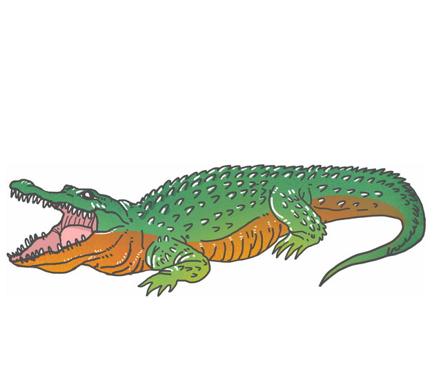 扬子鳄的简笔画图片