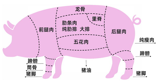 猪肉部位分割图名称307770png图片素材