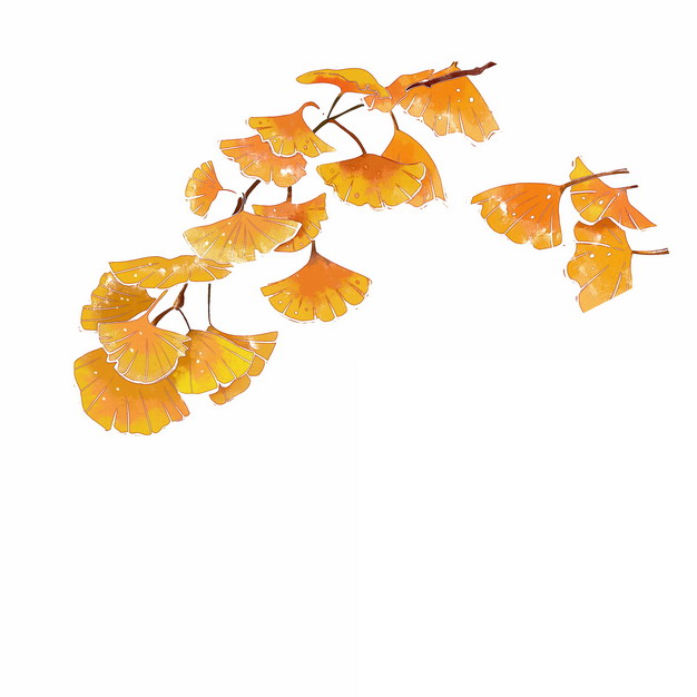 黄色的银杏树叶彩绘插画454310png图片免抠素材 生物自然-第1张