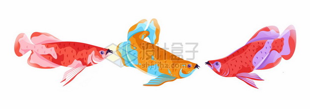 三款彩色金龙鱼名贵观赏鱼965996png免抠图片素材 生物自然-第1张
