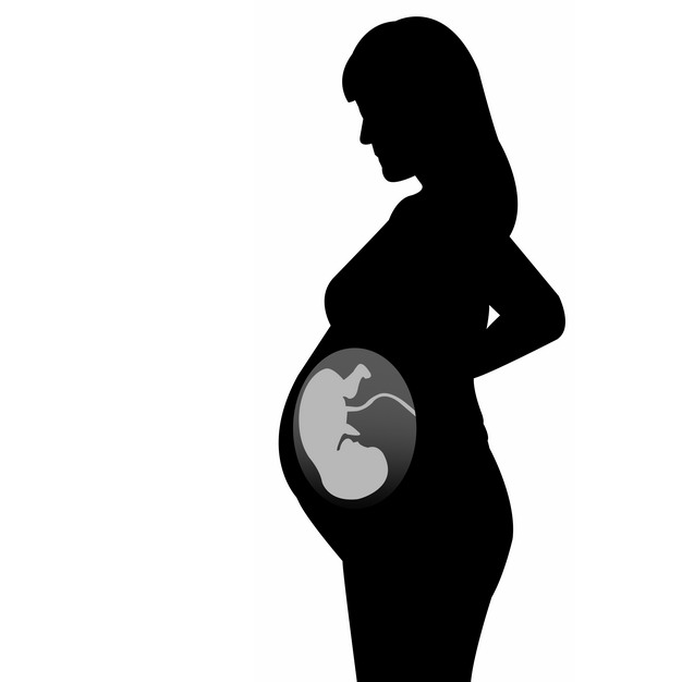 怀孕的孕妇剪影可见胎儿472470png图片素材 健康医疗-第1张