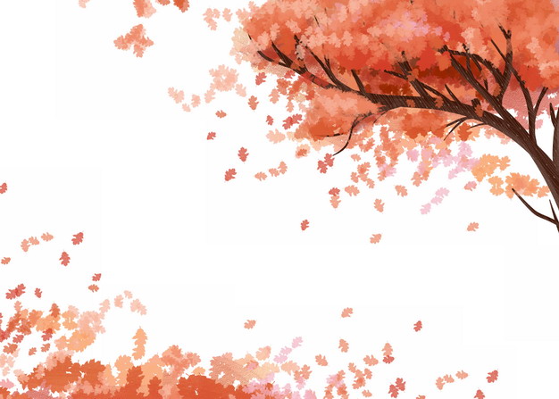 深秋时节变红的大树和飘落的红叶png图片素材 设计盒子