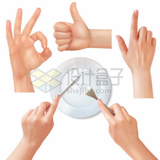 Ok手势竖起大拇指点赞单指操作手势和使用刀叉的正确方法矢量图片免抠素材 设计盒子
