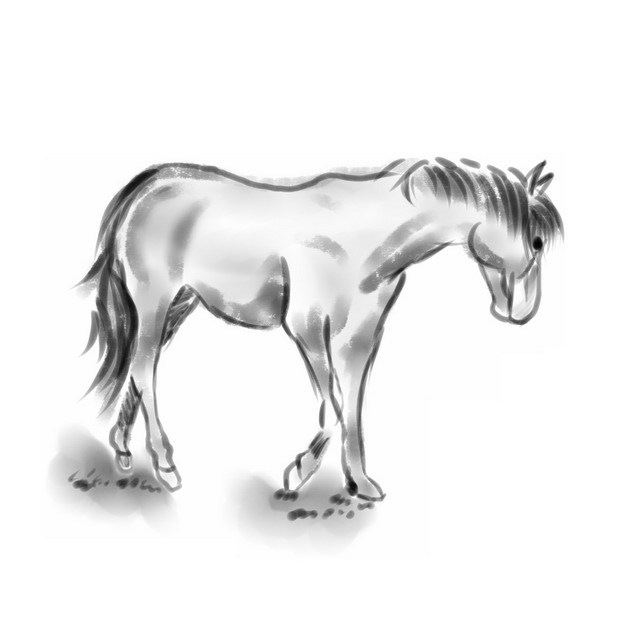 马低头吃草的图片黑白图片