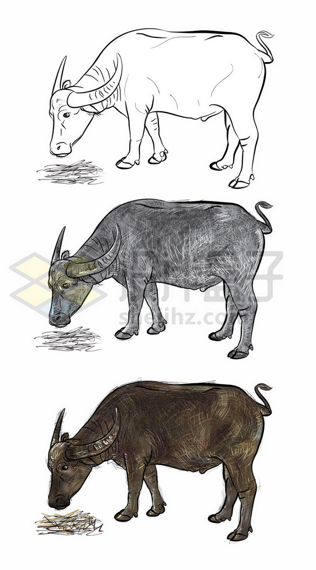 抽象画牛的演化过程图片
