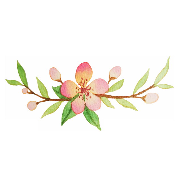 枝头上盛开的桃花水彩插画727898png图片素材 生物自然-第1张