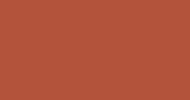 赤茶色RGB颜色代码#b4533c高清4K纯色背景图片素材 背景-第1张