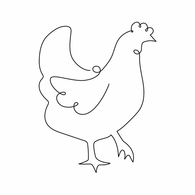 一根线条老母鸡公鸡手绘插画简笔画686777png图片素材 生物自然-第1张