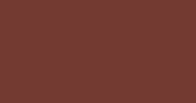 海老茶色rgb颜色代码 733a31高清4k纯色背景图片素材 设计盒子