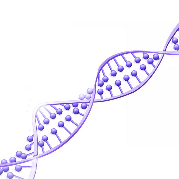 3D立体风格紫色DNA双螺旋结构192027png图片素材 科学地理-第1张