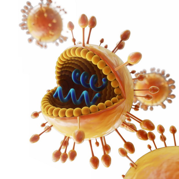 3D立体风格橙色的冠状病毒内部DNA结构173751png图片素材 健康医疗-第1张