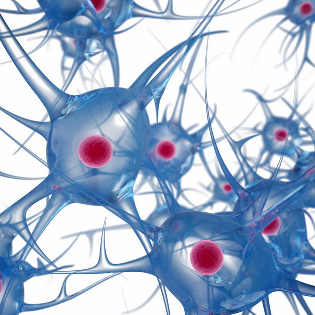 3D立体风格人体神经细胞和细胞核828744png图片素材 健康医疗-第1张