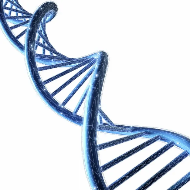蓝色抽象科技3D立体风格DNA双螺旋结构671209png图片素材 科学地理-第1张
