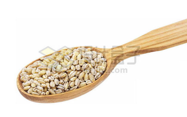 木头勺子里的大麦米去皮大麦仁五谷杂粮粗粮美味美食3278261图片免抠素材 生活素材-第1张