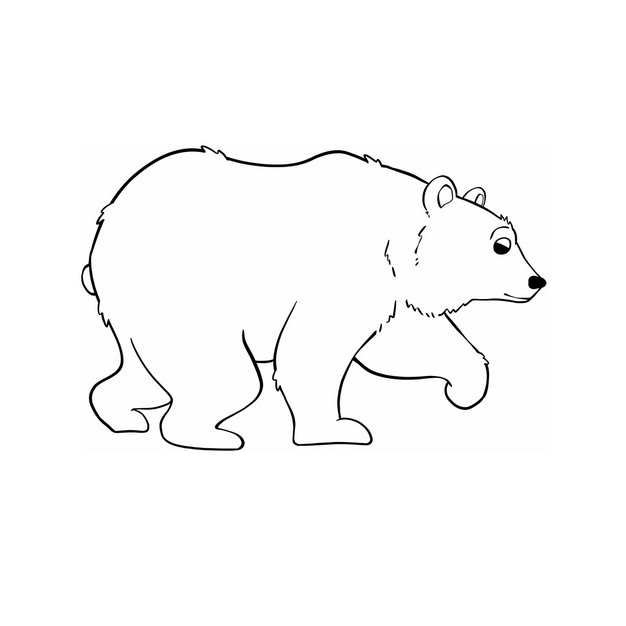 灰熊简笔画图片