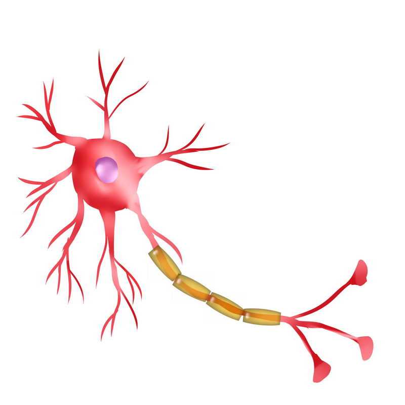 卡通神经细胞神经系统8980220图片免抠素材